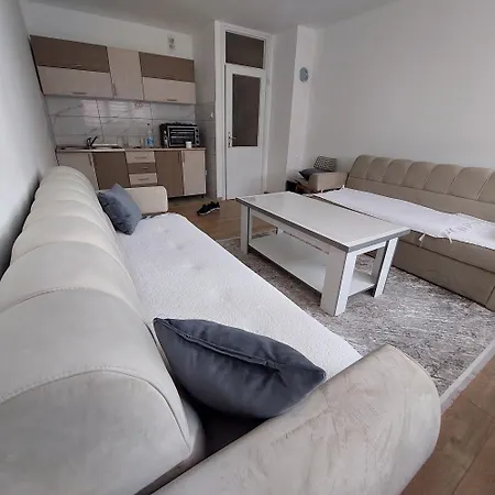 Apartament Andric *