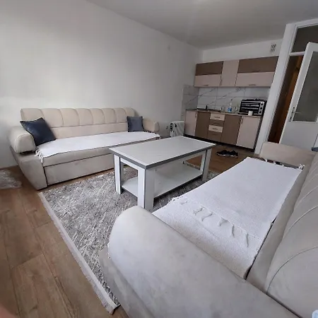 Andric Apartament